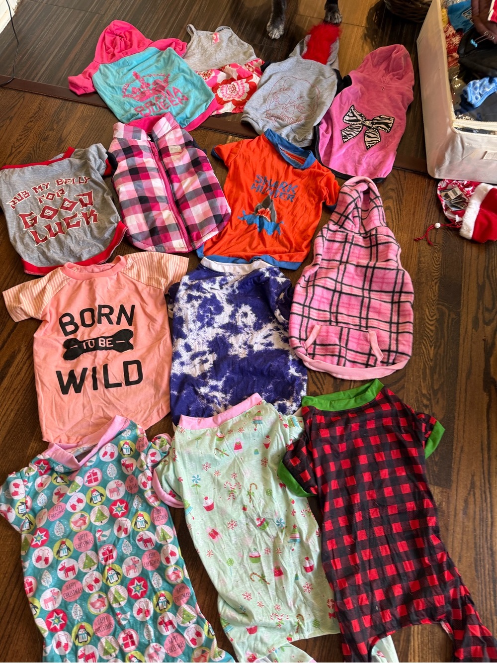 Girl Dog clothings size large